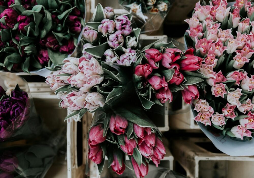 pink and purple tulips on display