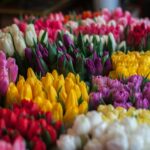 季節の花々が入荷しました！