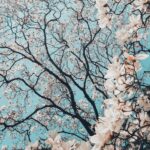 gallery02
