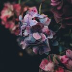 gallery02